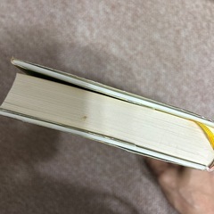 ループ　鈴木光司著の画像