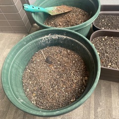 鉢植え4点セットの画像