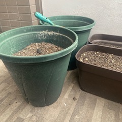 鉢植え4点セットの画像
