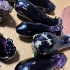 なすの画像