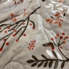 こたつ 掛け布団の画像