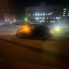 [交換可能]「手元48.5」ザビートルの画像