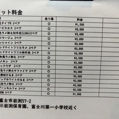 メダカの画像