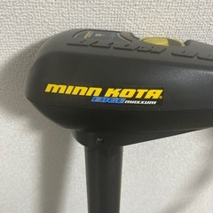 ミンコタ　エレキセットの画像