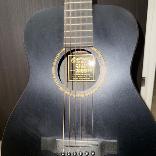 Martin & Co. LX BLACK アコースティックギター