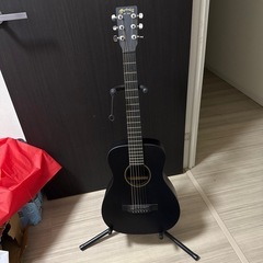 Martin & Co. LX BLACK アコースティックギターの画像
