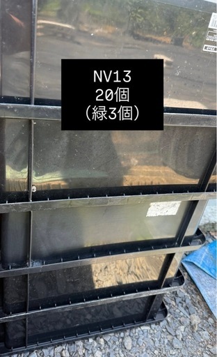 NV ボックス　メダカ