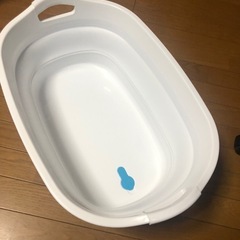 伊勢藤ソフトタブワイドの画像