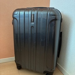 1人用キャリーケースの画像