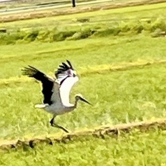 訪問看護で地域医療を一緒に盛り上げて頂けませんか。の画像