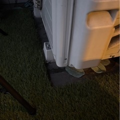 ちょっと訳あり 人工芝の画像