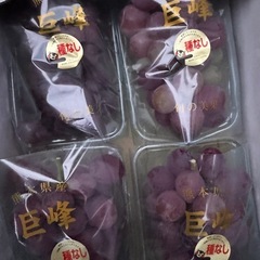 購入者決まりました。熊本県産 巨峰  の画像