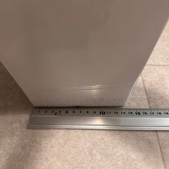 保土ヶ谷区 サンスベリア 43cmの画像