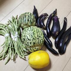 【訳あり】野菜たちの画像