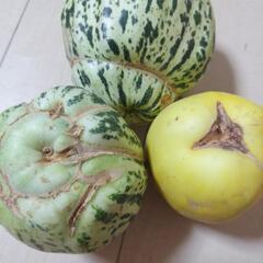 【訳あり】野菜たちの画像