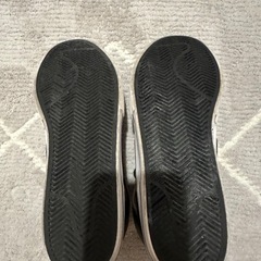 adidas、NIKEの画像