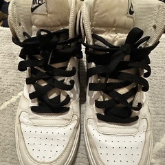 adidas、NIKEの画像