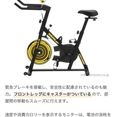 【エアロバイク・スピンバイク】アルインコの画像