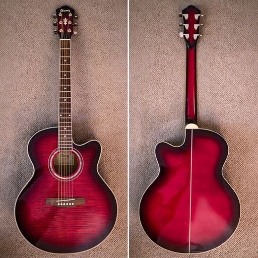 Ibanez AEL20D 2002年 USAモデル極美品 Ibanez AEL20D 2002年 USAモデル極美品 (MARO'S) 久が原の弦楽器