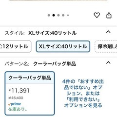 ロゴス　ハイパー氷点下クーラー
の画像