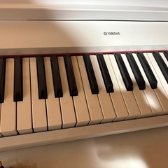 YAMAHA piaggero NP-32の画像