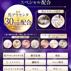 【新品】無我夢中 30ml 女性用 プラセンタ30mg配合 香水のような容器 国内産の画像