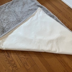 グレーのラグの画像