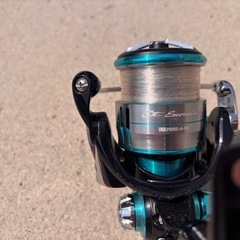DAIWA エメラルダス　リール＆ロッドセットの画像