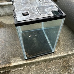 水槽の画像