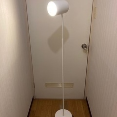 NITORI ニトリ フロアランプ スプラウト シンプル 間接照明 などにもの画像