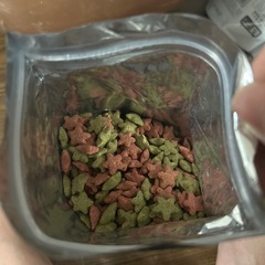 ハリネズミ　餌　色々の画像