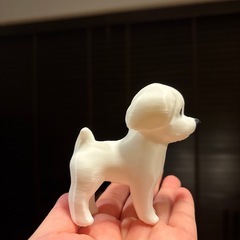 写真で3Dうちの愛犬（ねこ）の画像