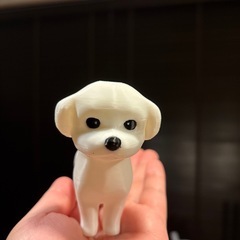 写真で3Dうちの愛犬（ねこ）の画像