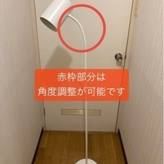 NITORI ニトリ フロアランプ スプラウト シンプル 間接照明 などにもの画像
