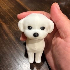 写真で3Dうちの愛犬（ねこ）の画像
