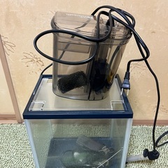 水槽の画像