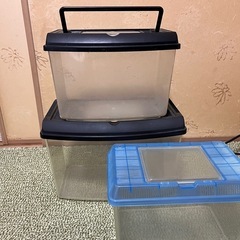 虫カゴの画像
