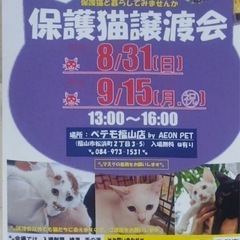 9月15日に福山で保護猫の譲渡会