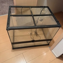 爬虫類用水槽＆ライトの画像