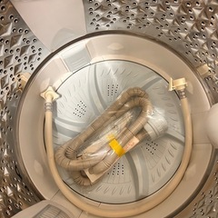 東芝　2024年製　ウルトラファインバブル　洗濯機　容量8キロ　家庭用の画像