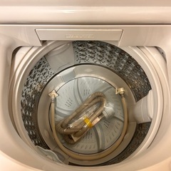東芝　2024年製　ウルトラファインバブル　洗濯機　容量8キロ　家庭用の画像