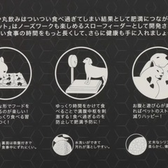 犬、猫用　早食い防止シリコンプレートかの画像