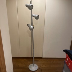 間接照明に　高さ170cmくらいの画像
