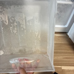 冷蔵庫（2019年製、綺麗目）の画像