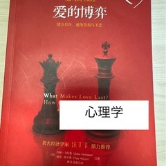 中国語　本の画像