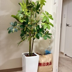 フェイクグリーン 人工観葉植物 大型 光触媒 造花130cm ホワイト鉢の画像