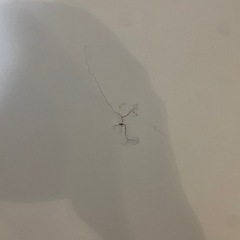 カラーボックスの画像