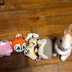 サムネイル