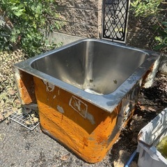メダカ 金魚 水槽 浴槽
の画像