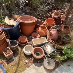 植木鉢の画像